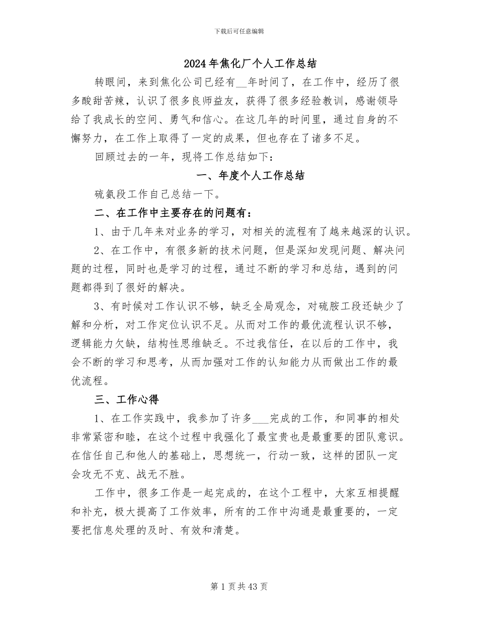 2024年焦化厂个人工作总结_第1页