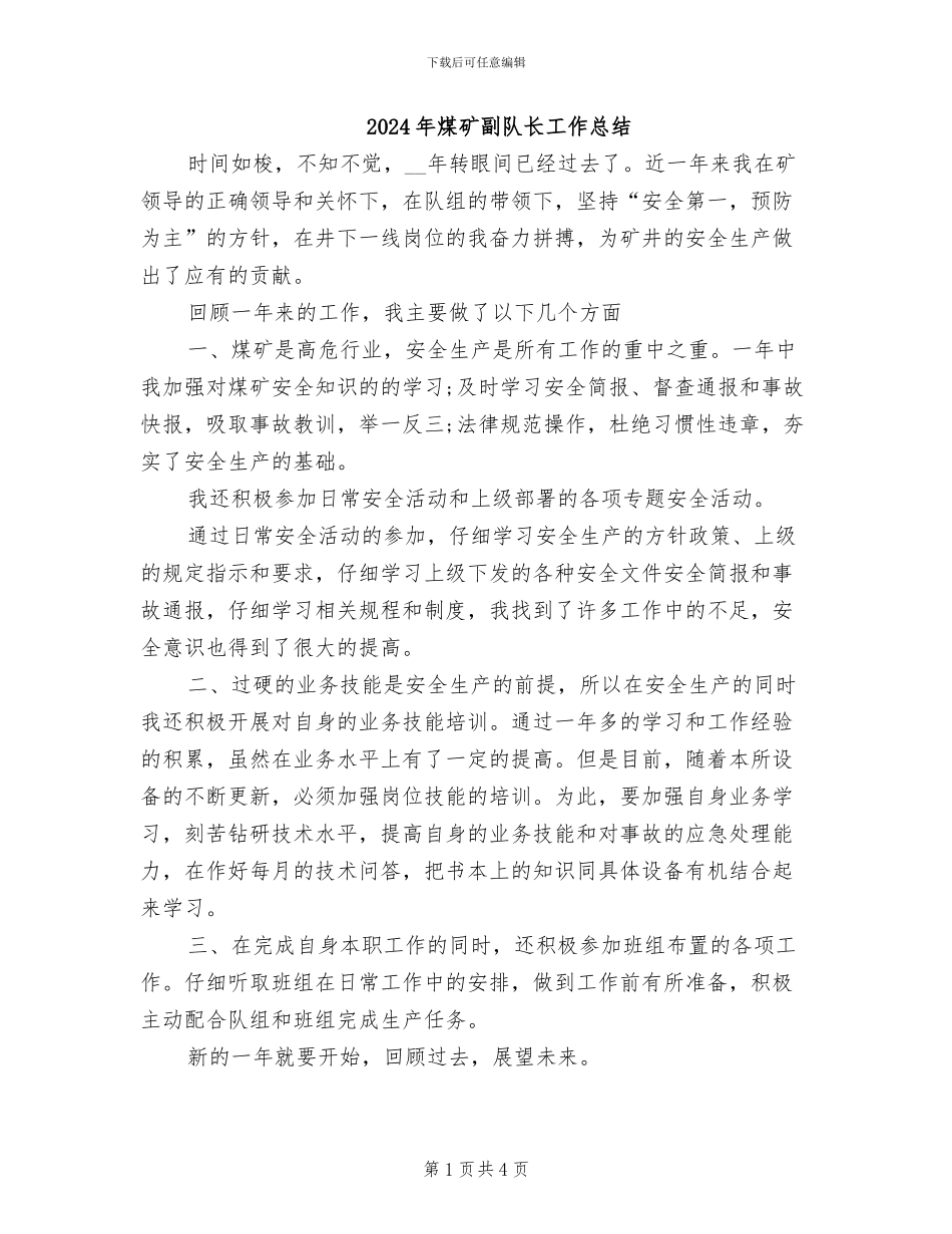 2024年煤矿副队长工作总结_第1页
