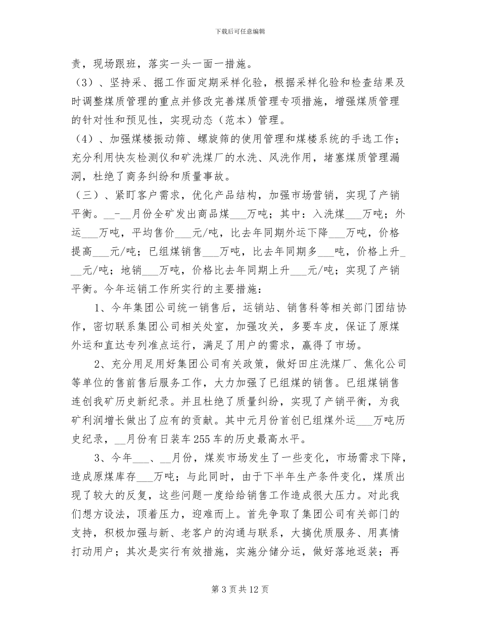 2024年煤质工作总结_第3页