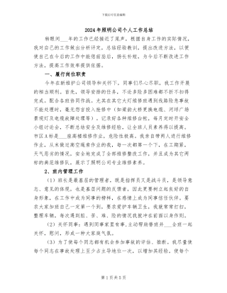 2024年照明公司个人工作总结