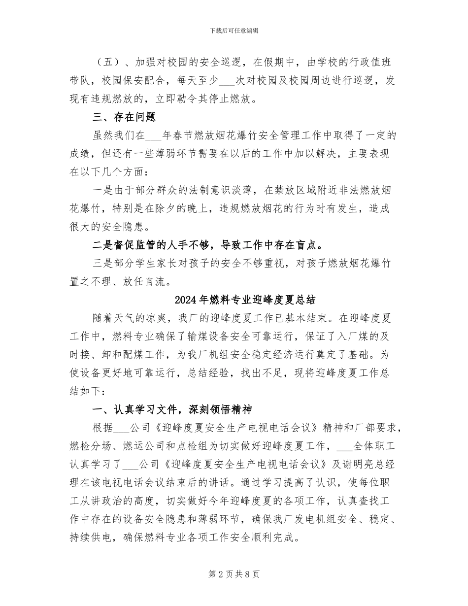 2024年燃放烟花爆竹安全管理工作总结_第2页