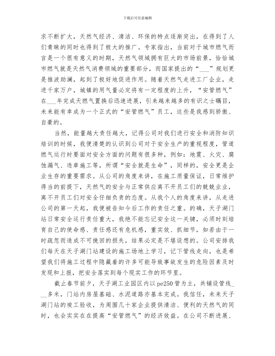 2024年燃气公司个人工作小结范本_第2页