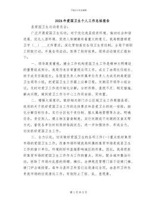 2024年爱国卫生个人工作总结报告