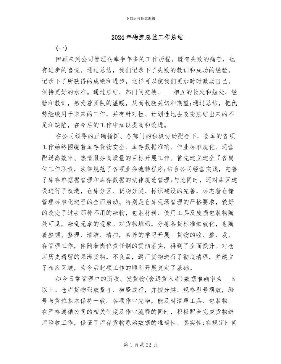 2024年物流总监工作总结_第1页