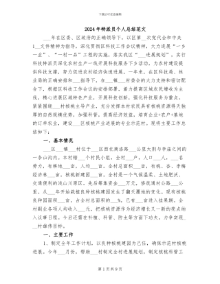 2024年特派员个人总结范文