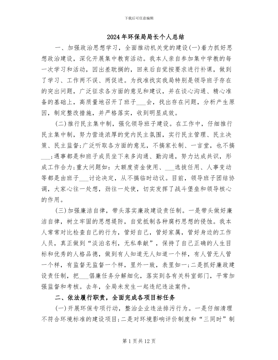 2024年环保局局长个人总结_第1页