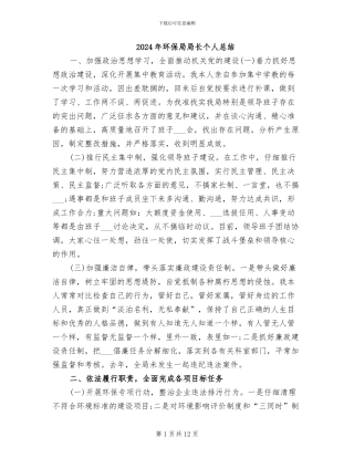 2024年环保局局长个人总结