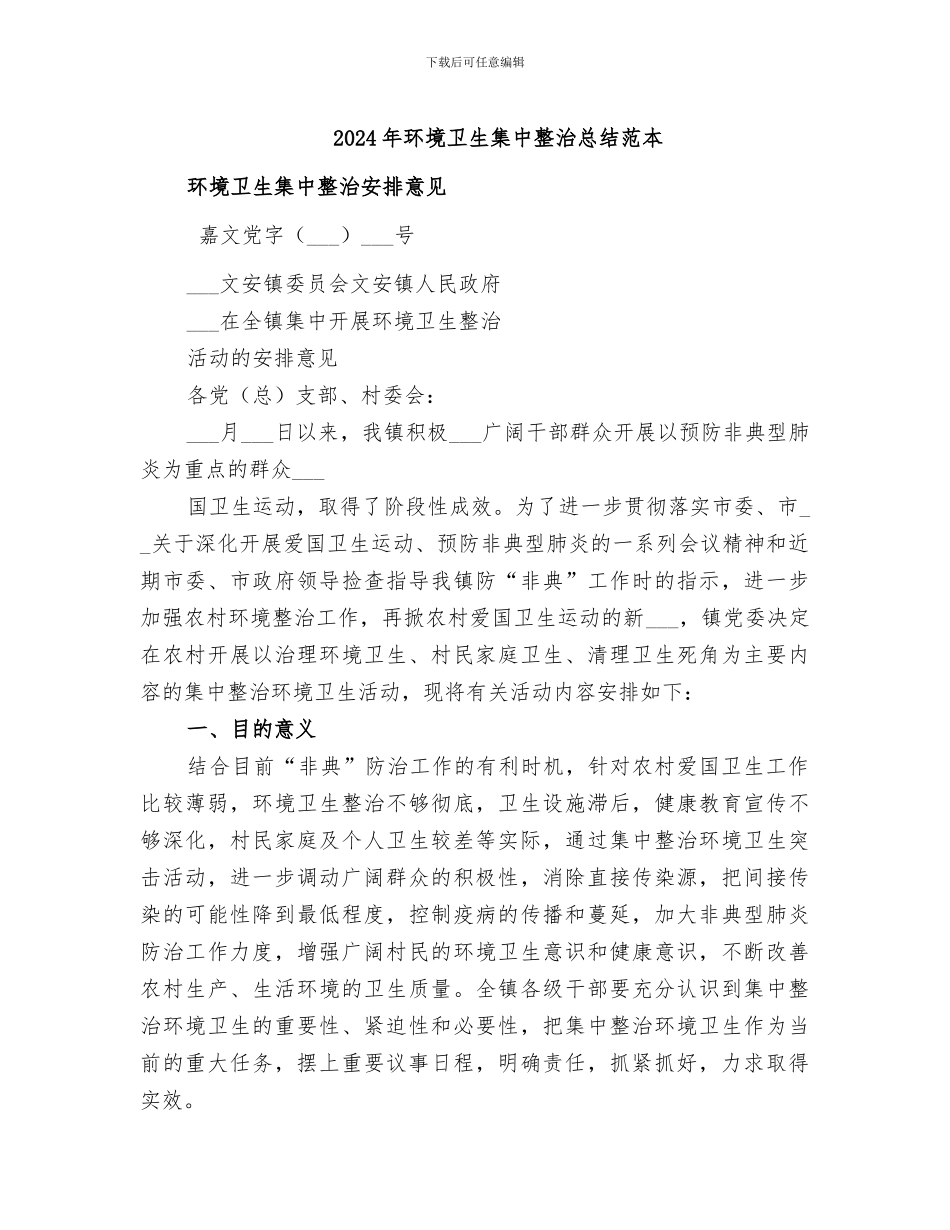 2024年环境卫生集中整治总结范本_第1页