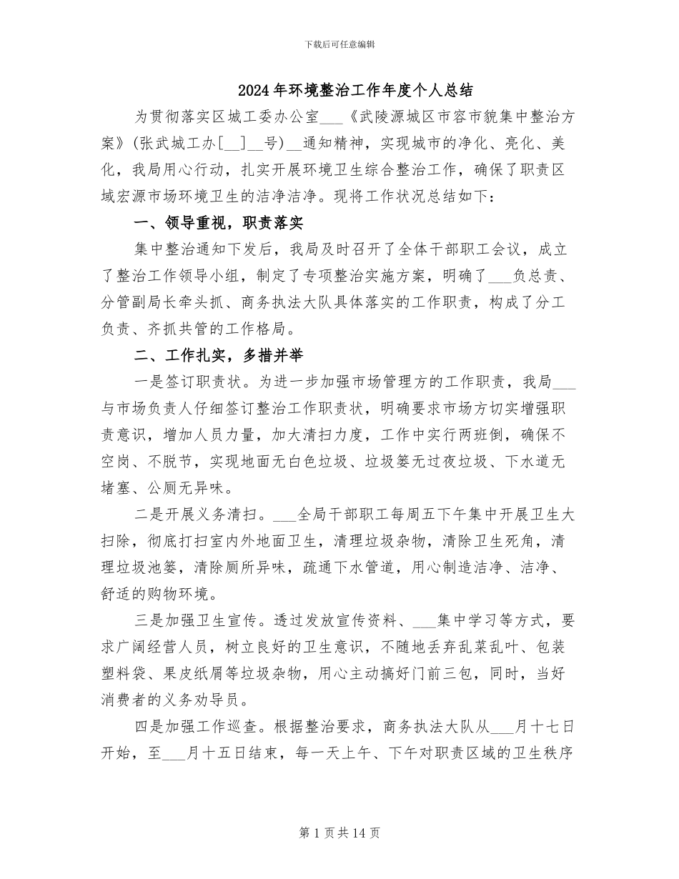 2024年环境整治工作年度个人总结_第1页