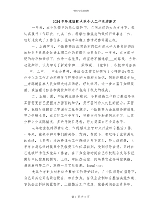 2024年环境监察大队个人工作总结范文