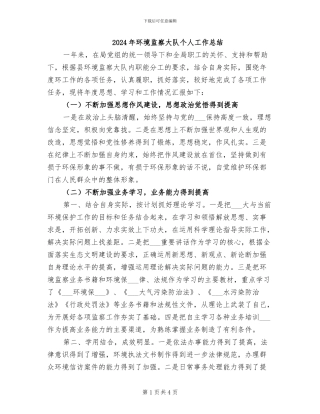 2024年环境监察大队个人工作总结
