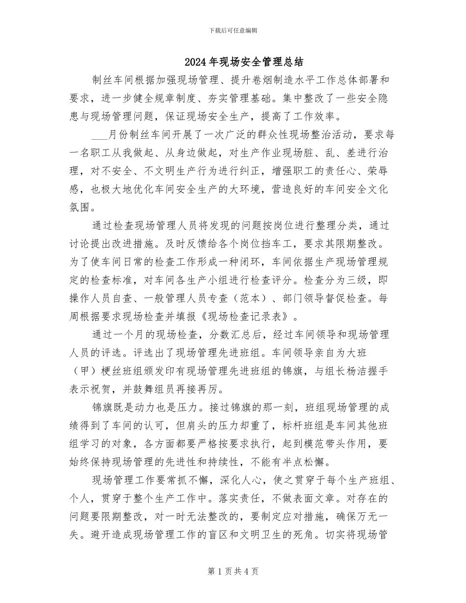 2024年现场安全管理总结_第1页