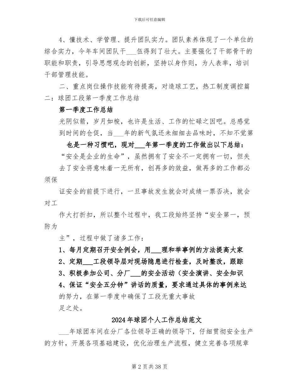 2024年球团个人工作总结模板_第2页