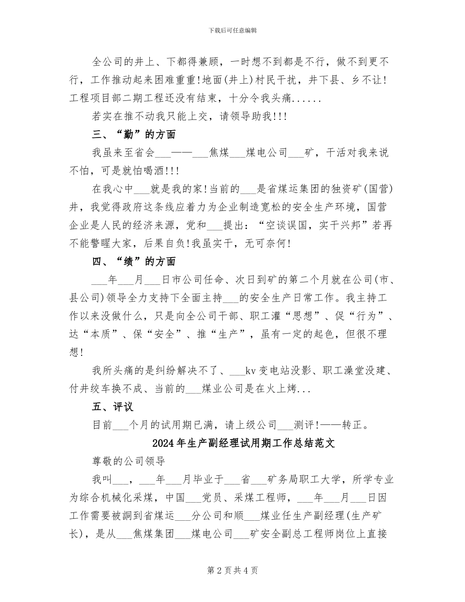 2024年生产副经理试用期工作总结_第2页