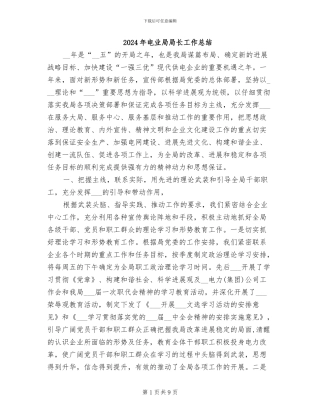 2024年电业局局长工作总结
