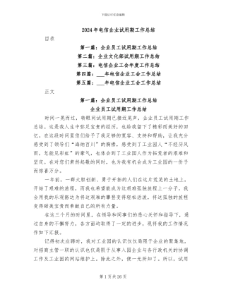2024年电信企业试用期工作总结