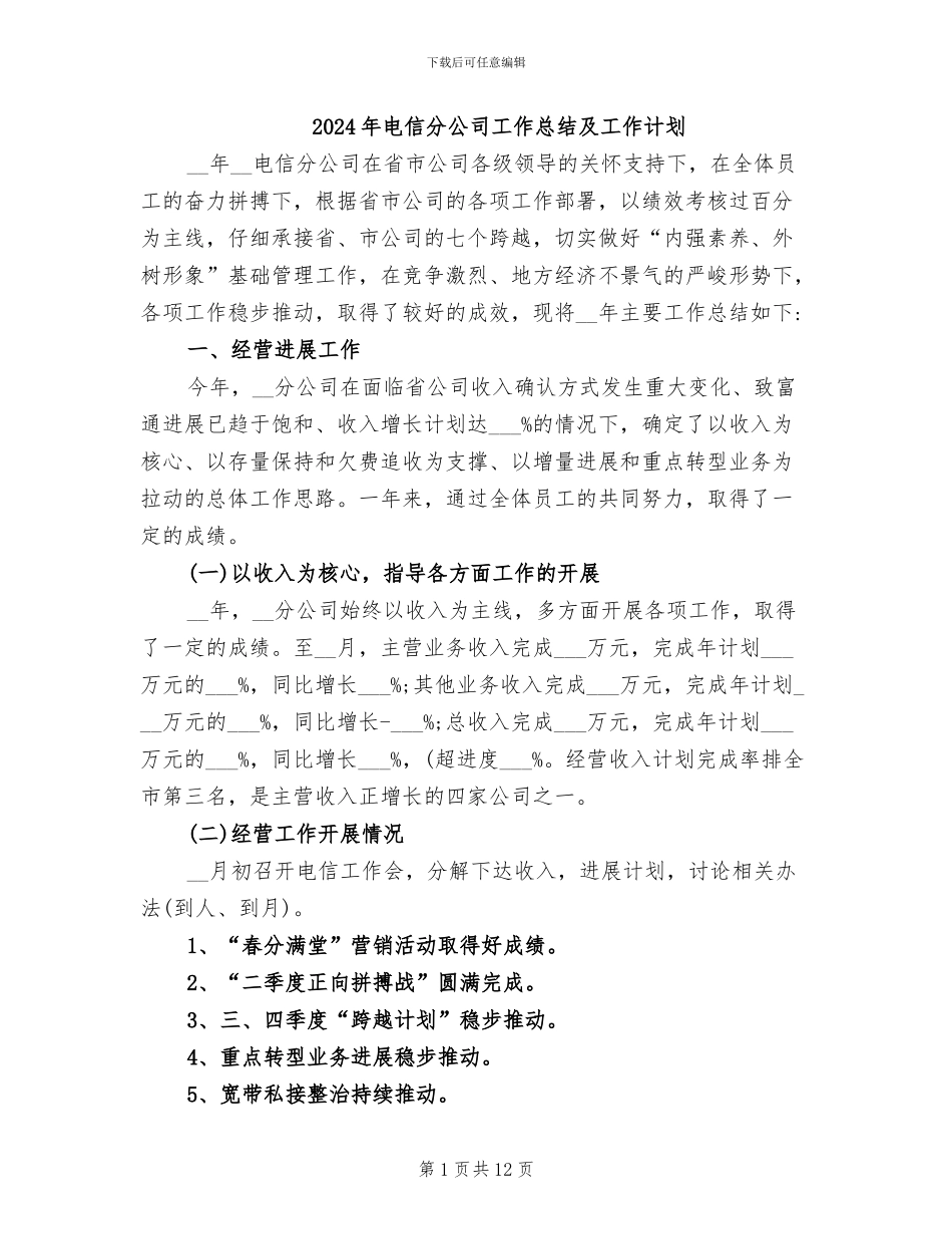 2024年电信分公司工作总结及工作计划_第1页