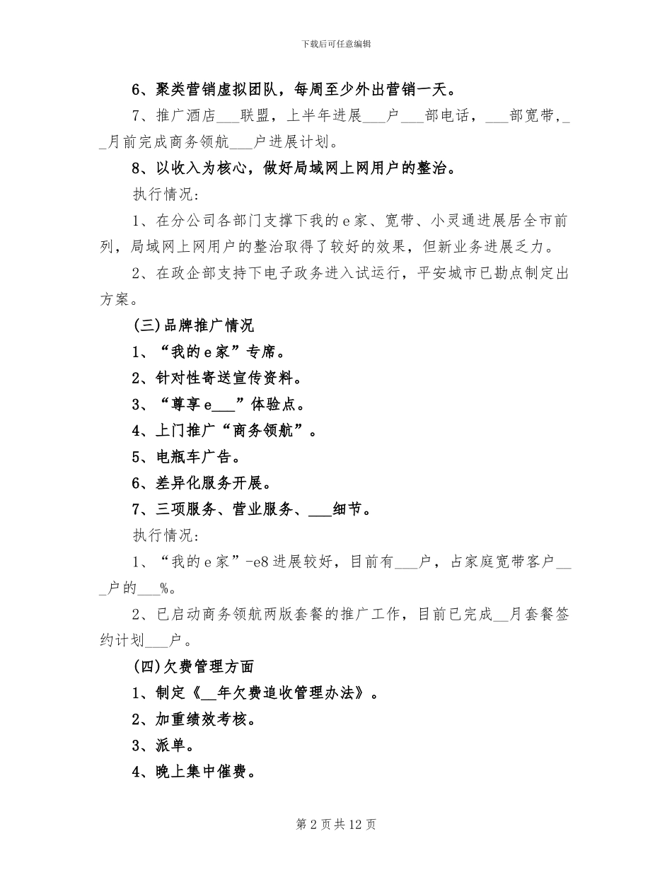 2024年电信分公司工作总结及工作计划_第2页