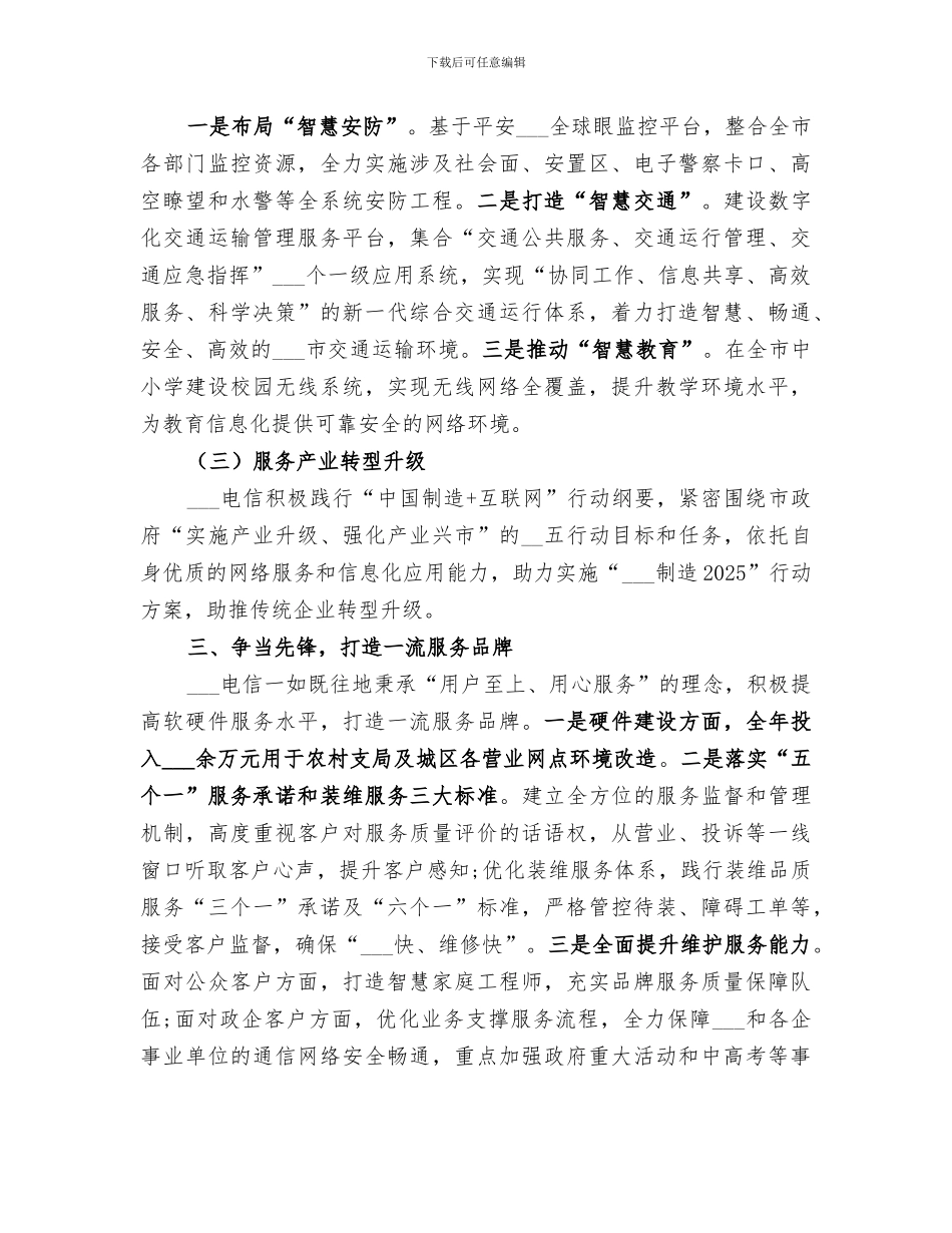 2024年电信分公司工作总结_第3页