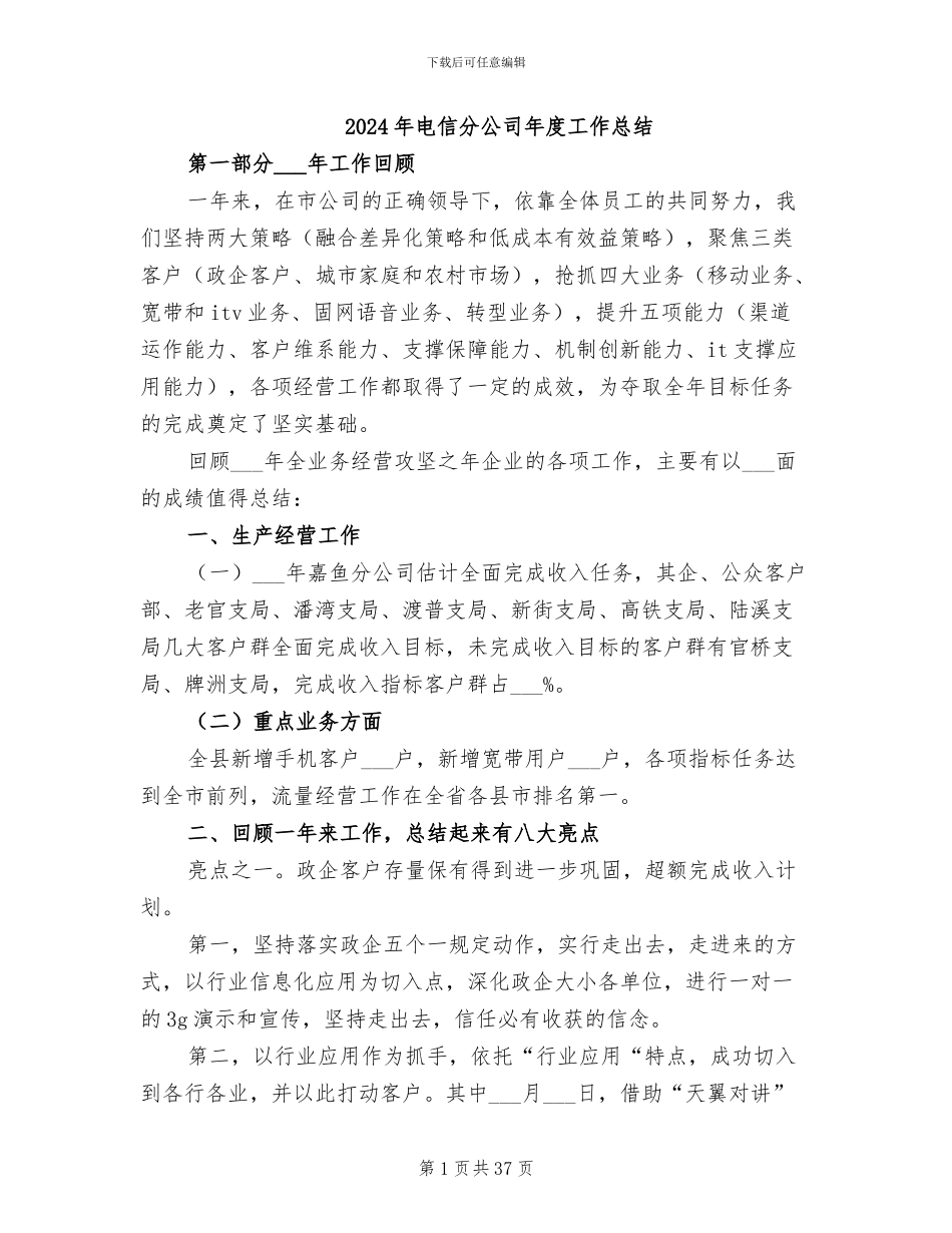 2024年电信分公司年度工作总结_第1页