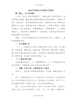 2024年电信分公司年度工作总结
