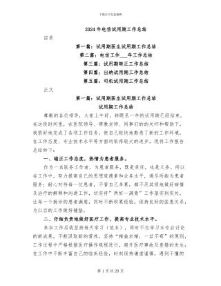 2024年电信试用期工作总结