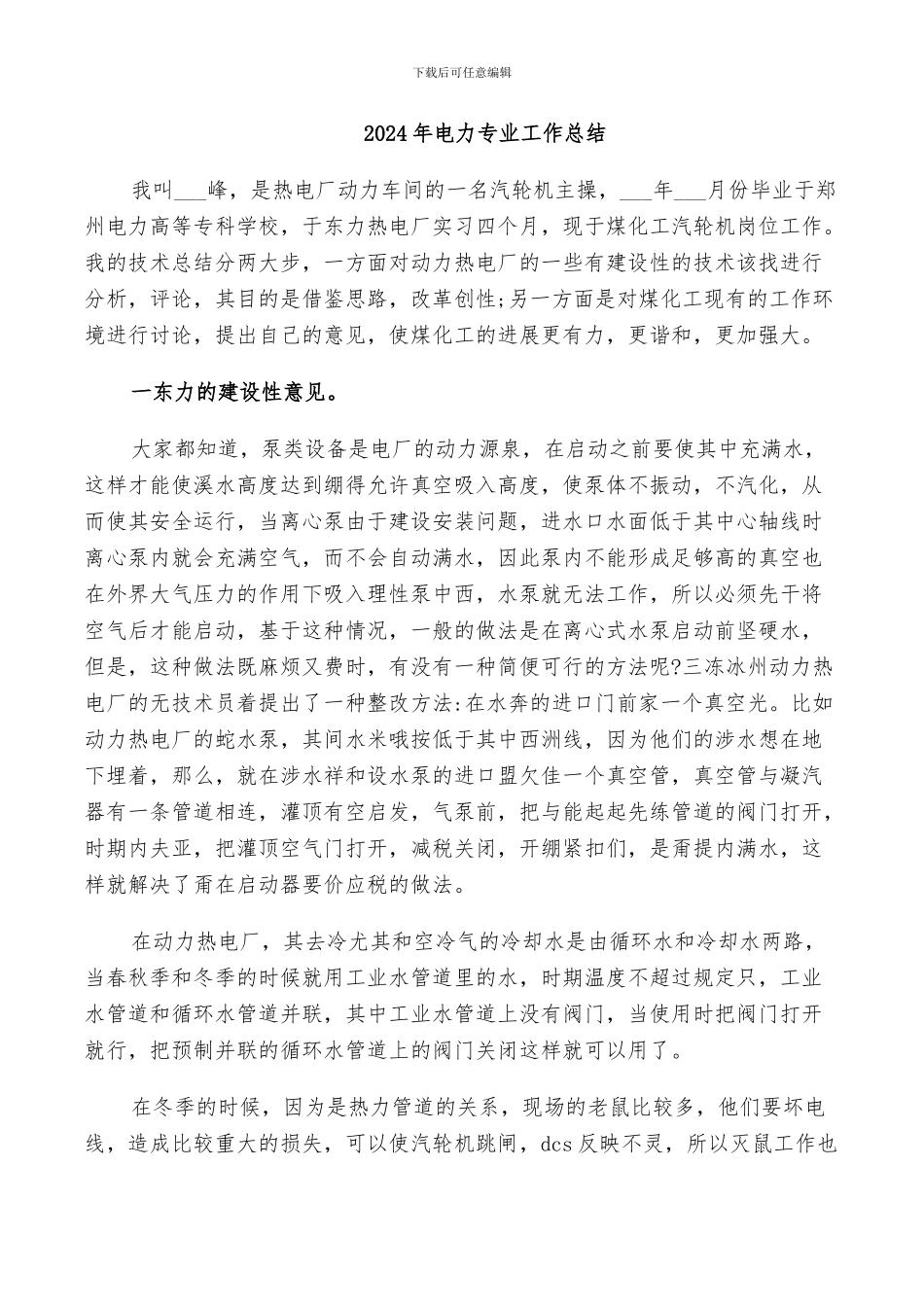 2024年电力专业工作总结_第1页