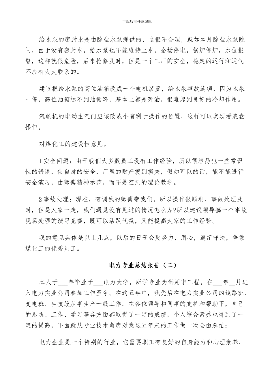 2024年电力专业工作总结_第3页