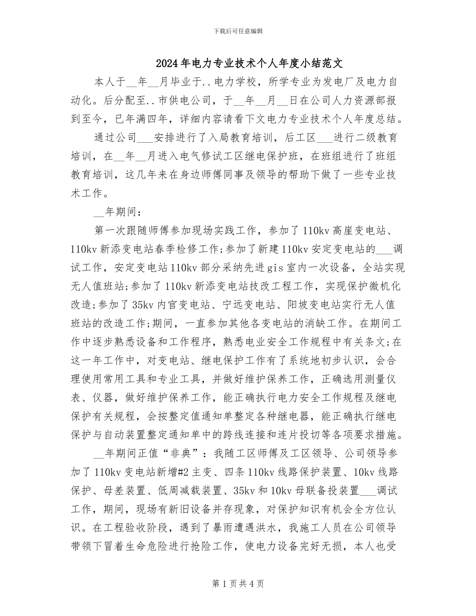 2024年电力专业技术个人年度小结范文_第1页