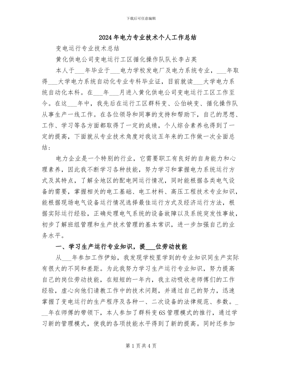 2024年电力专业技术个人工作总结_第1页