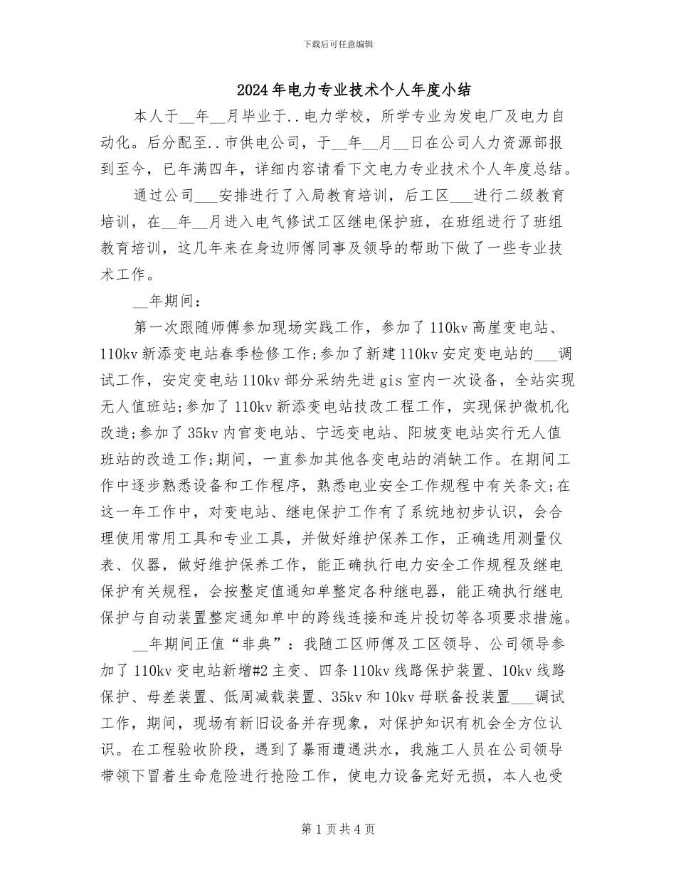 2024年电力专业技术个人年度小结_第1页