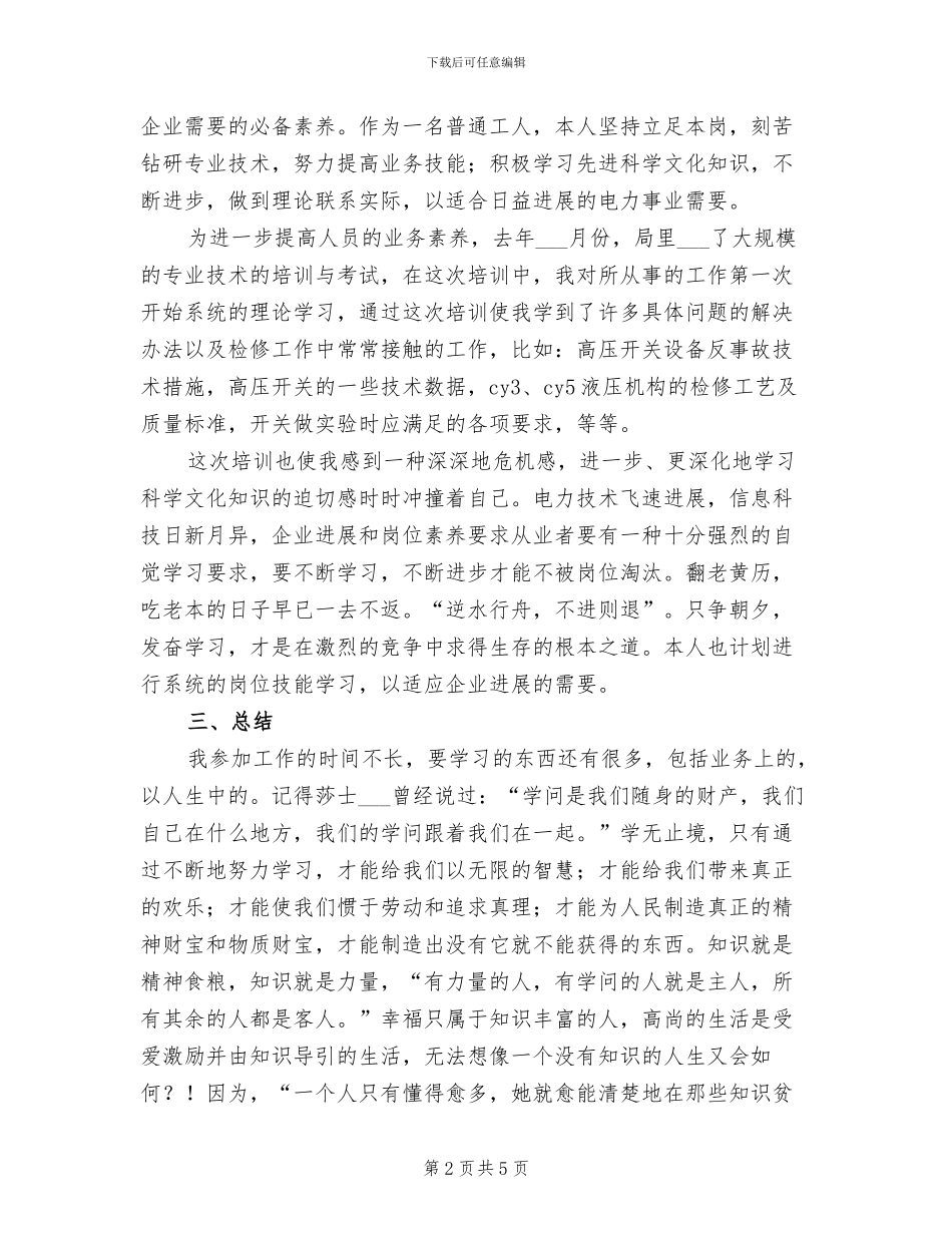 2024年电力专业技术总结范文_第2页