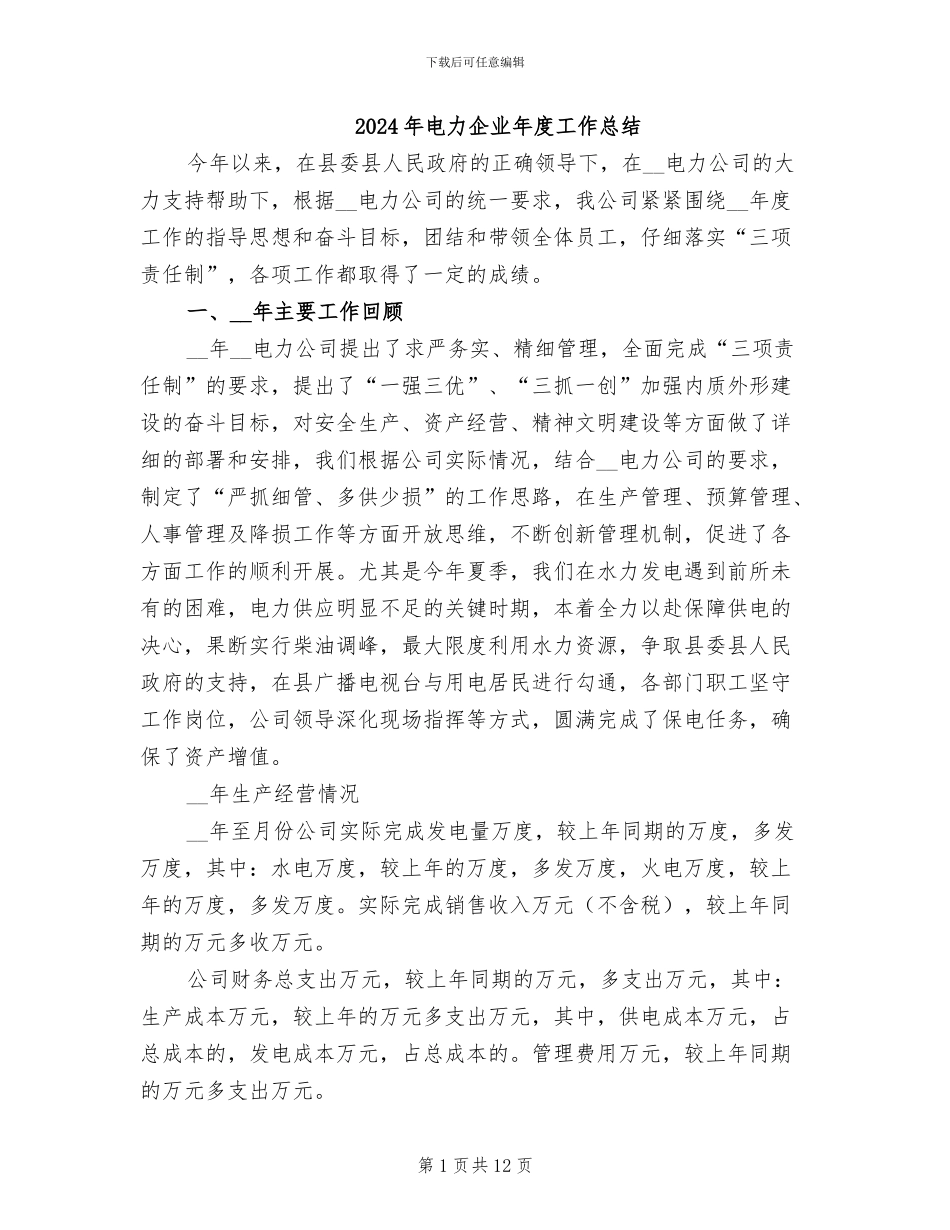 2024年电力企业年度工作总结_第1页