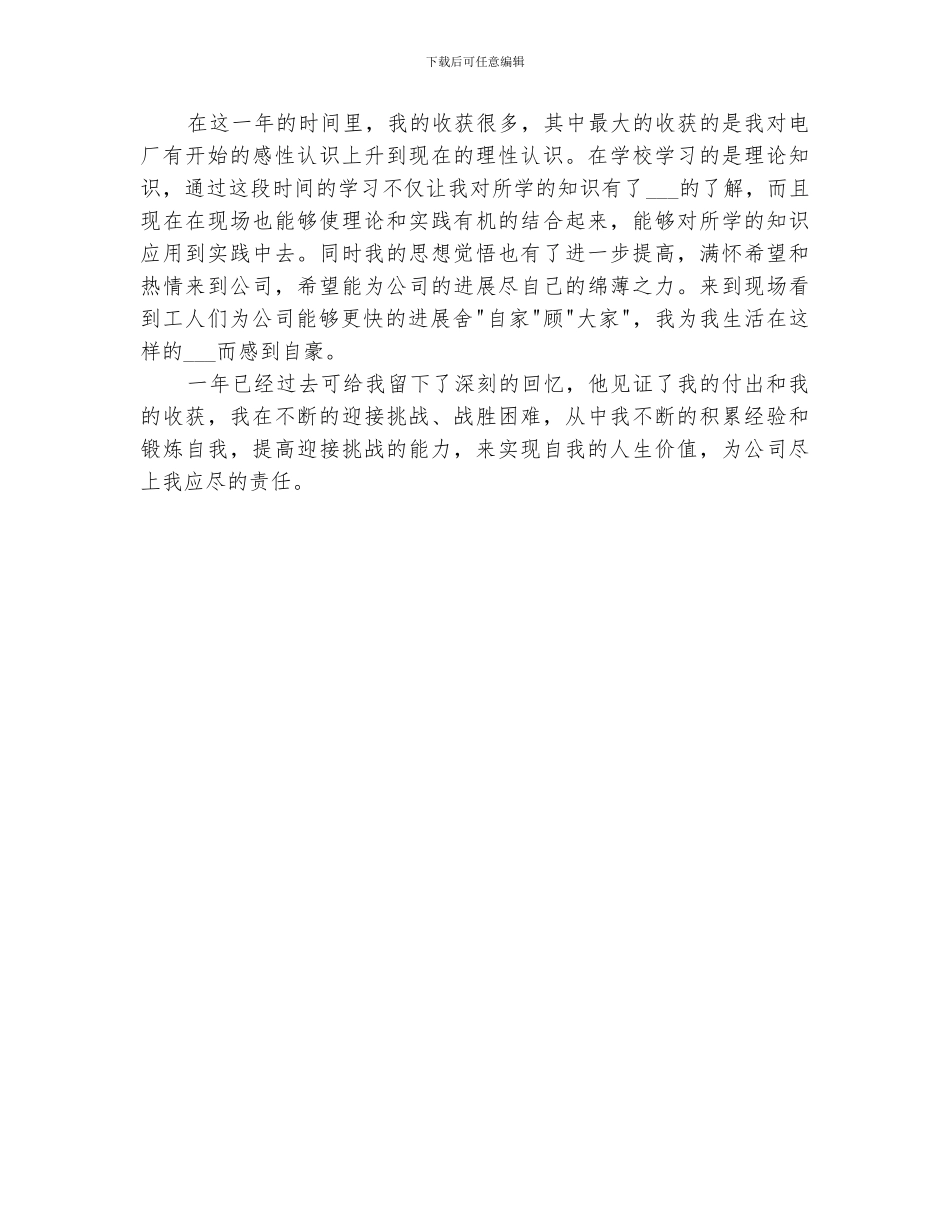 2024年电力专业个人工作总结_第2页