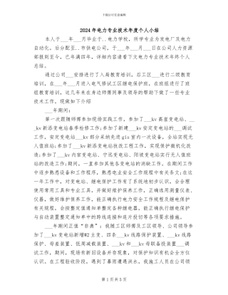 2024年电力专业技术年度个人小结