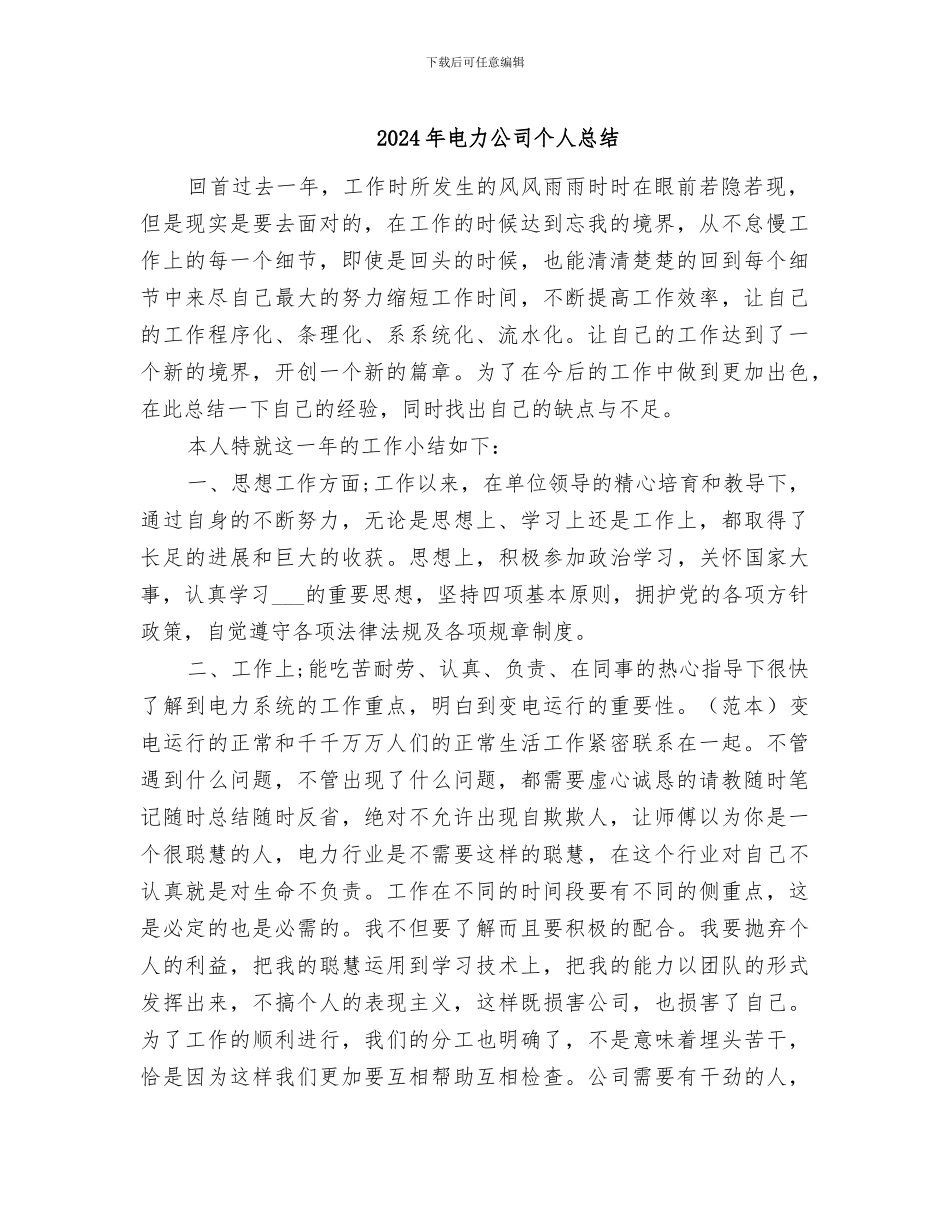 2024年电力公司个人总结_第1页