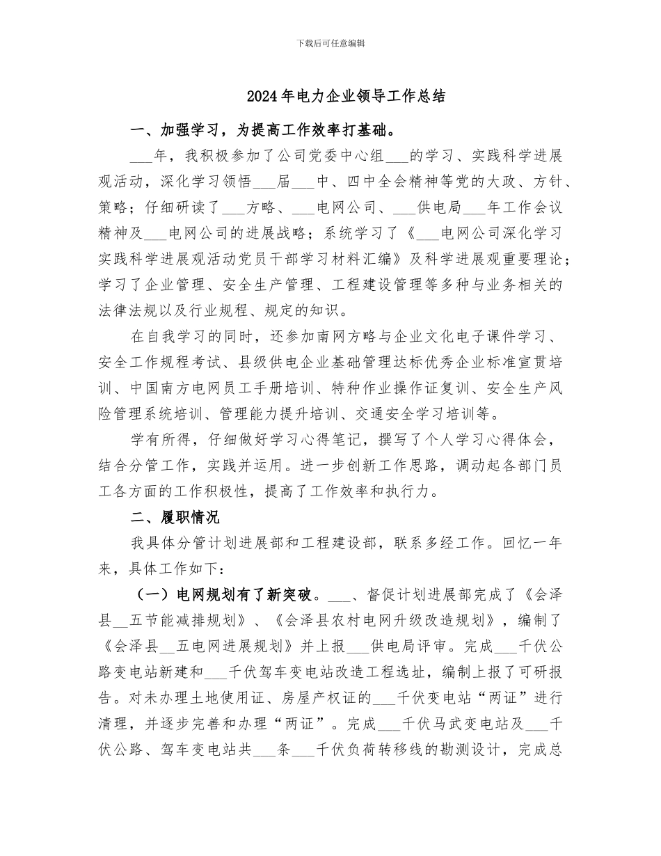 2024年电力企业领导工作总结_第1页