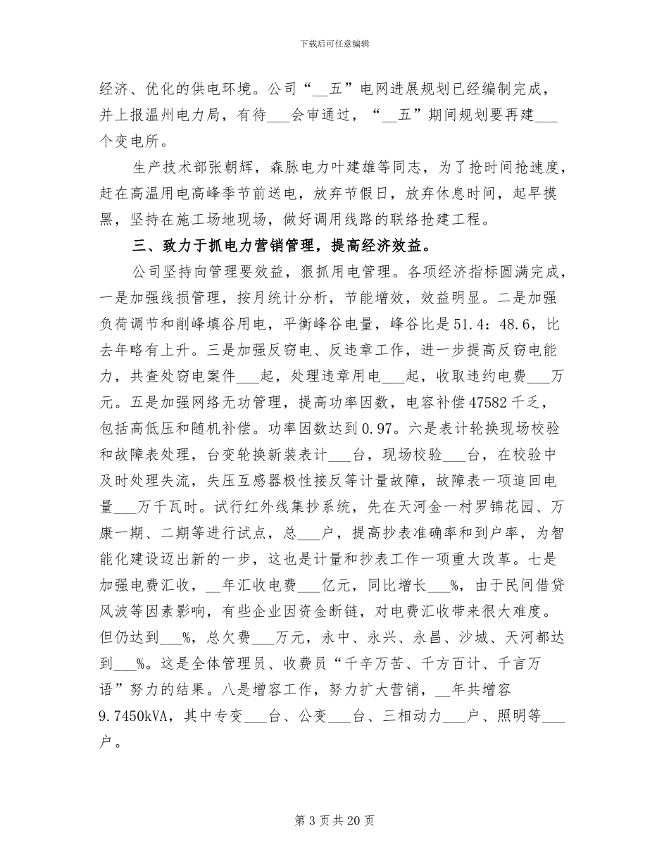 2024年电力公司工作总结_第3页