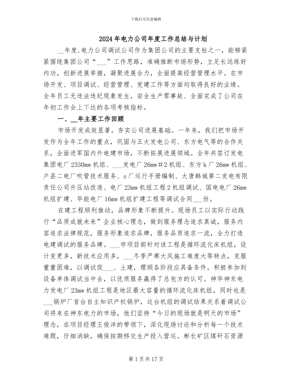 2024年电力公司年度工作总结与计划_第1页