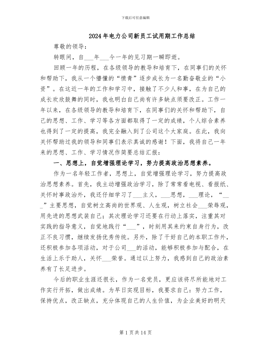 2024年电力公司新员工试用期工作总结_第1页