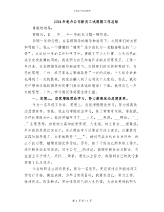 2024年电力公司新员工试用期工作总结