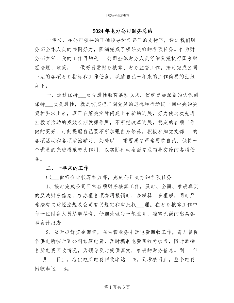 2024年电力公司财务总结_第1页