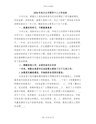 2024年电力公司领导个人工作总结