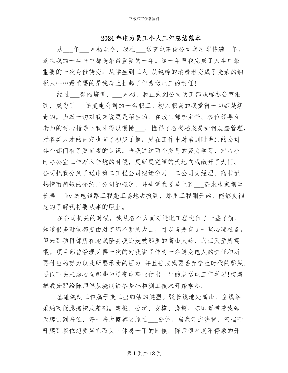 2024年电力员工个人工作总结范本_第1页