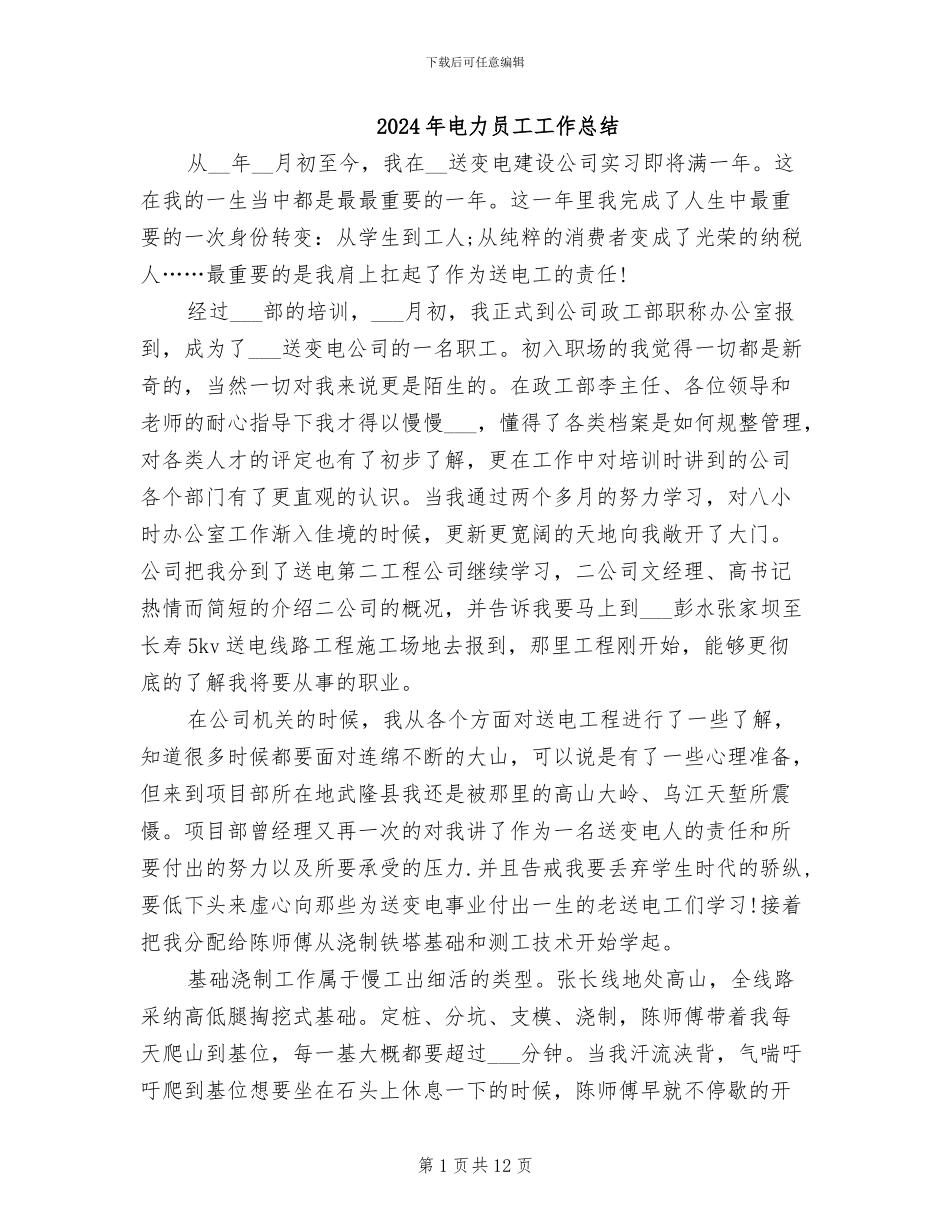 2024年电力员工工作总结_第1页