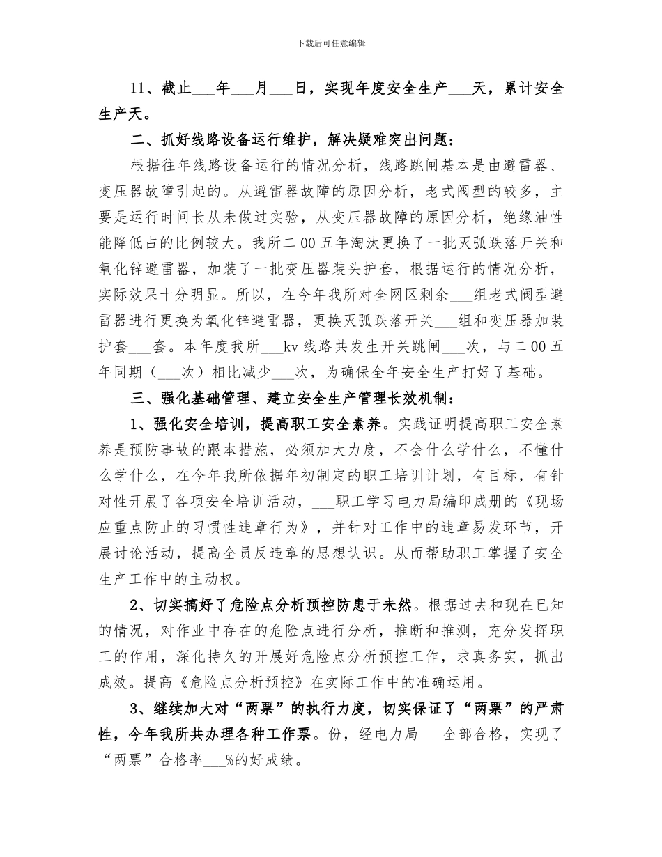 2024年电力局安全生产工作总结_第2页