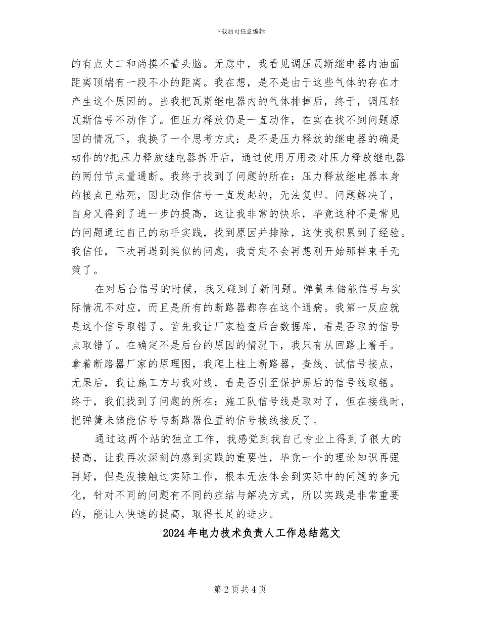 2024年电力技术负责人工作总结_第2页