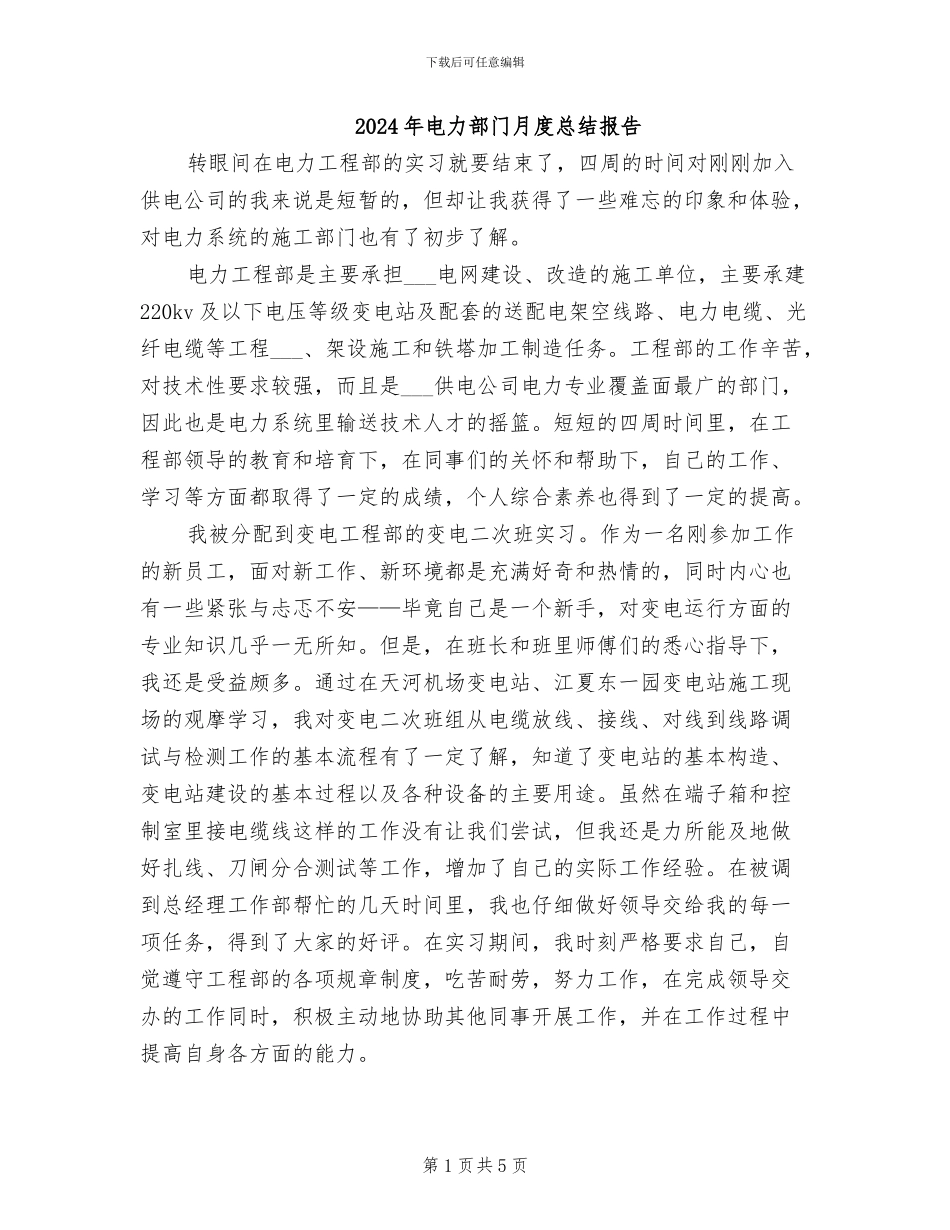 2024年电力部门月度总结报告_第1页