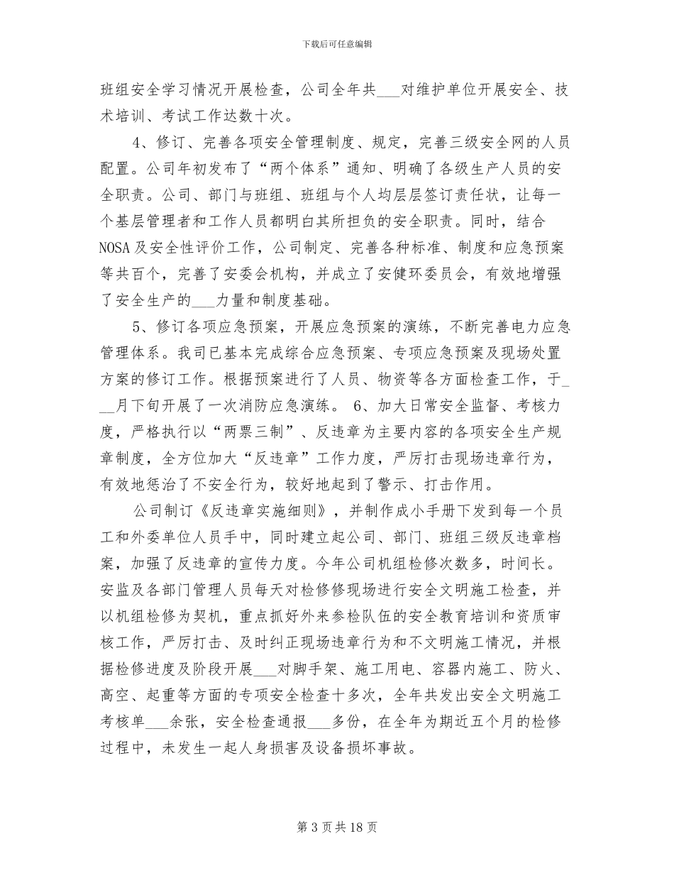 2024年电厂安全生产部年度工作总结_第3页