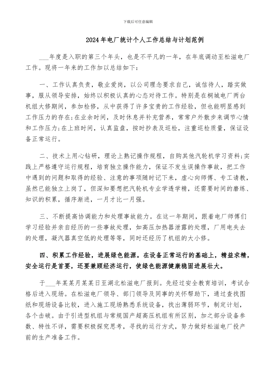 2024年电厂统计个人工作总结与计划范例_第1页